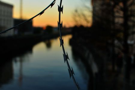 berlin_25_2014_nw_1000